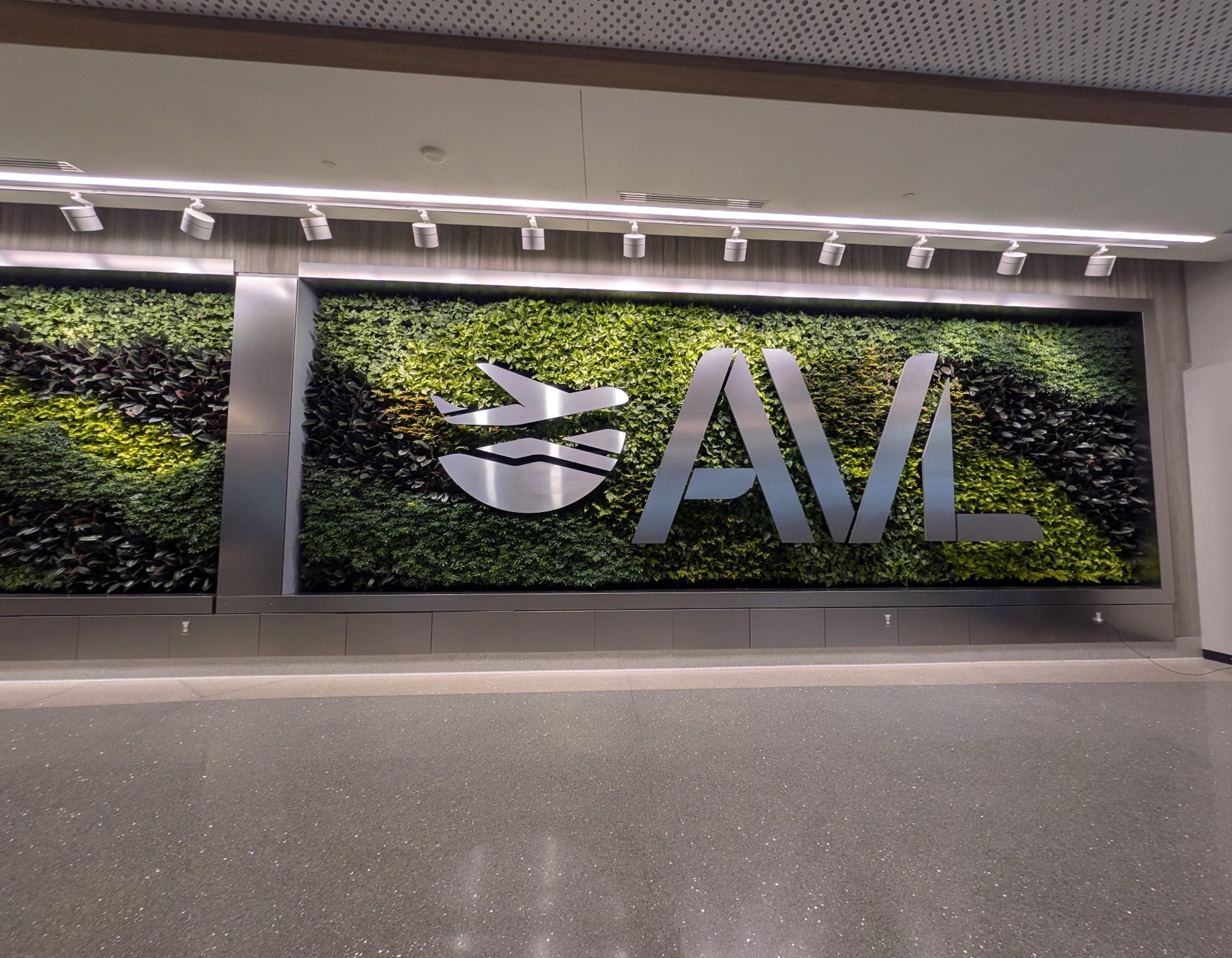 The living plant wall in baggage claim at Asheville Regional Airport, with the brushed-metal AVL logo mounted across the greenery