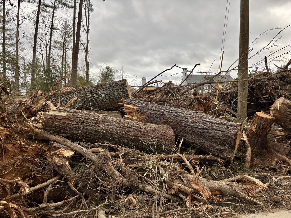 Massive fallen logs piled along a roadside after Hurricane Helene's winds toppled mature hardwoods across Western North Carolina