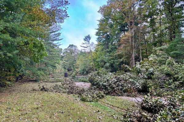 A Western North Carolina forest in the days after Hurricane Helene — large trees uprooted and snapped across a wooded path beside a small interpretive trail sign, the canopy torn open above, broken branches and fallen trunks scattered across the forest floor