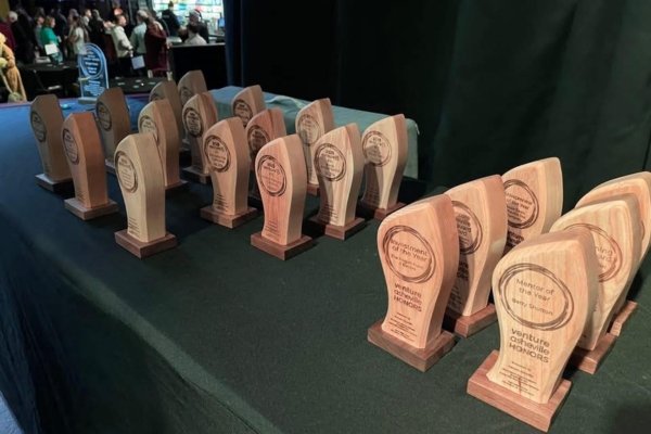 Two long rows of handcrafted wooden business awards lined up on a green-skirted table at a Western North Carolina business honors event — each award shaped like a stylized arch in pale maple atop a darker walnut base, individually laser-engraved with category names, crafted by Echoes of the Forest woodworker Mickey Strivelli