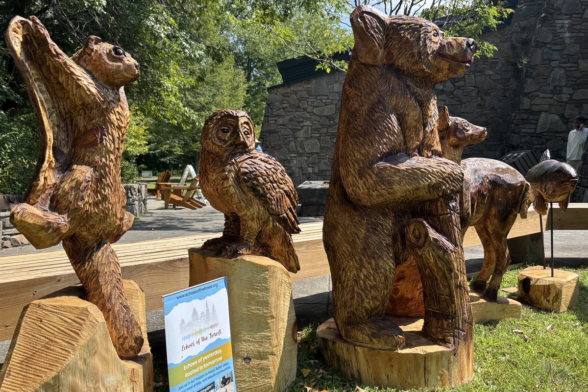 Chainsaw-carved Helene timber critters by Mike Ayers on display at the Cradle of Forestry: a flying squirrel, barred owl, black bear, white-tailed fawn, and brook trout