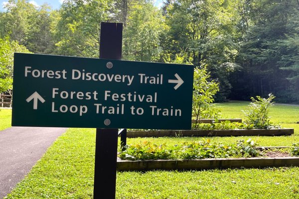 A green directional sign at the Cradle of Forestry pointing right toward the Forest Discovery Trail, with the Forest Festival Loop Trail to the train straight ahead