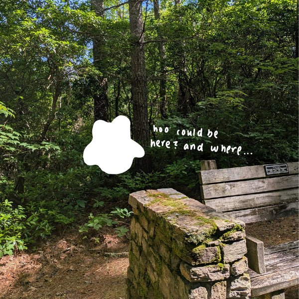 A wooden bench on a stone wall along the trail with a hand-drawn note reading 'hoo could be here? and where...'