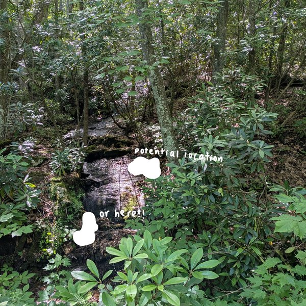 A shaded creek cascade surrounded by rhododendron with hand-drawn notes reading 'potential location' and 'or here!!'