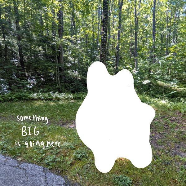 A grassy clearing beside the Forest Discovery Trail with a hand-drawn note reading 'something BIG is going here' and the planned carving masked out