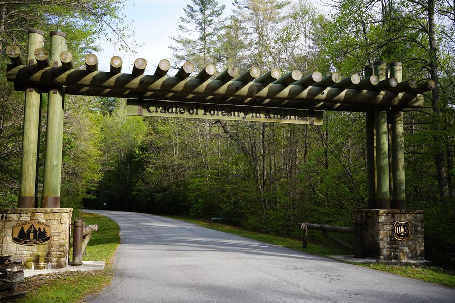 The wooden log archway entrance to the Cradle of Forestry in America at Pisgah National Forest