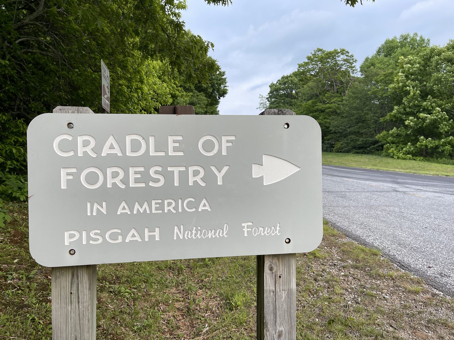 Cradle of Forestry in America directional road sign at the edge of the Blue Ridge Parkway, pointing toward Pisgah National Forest