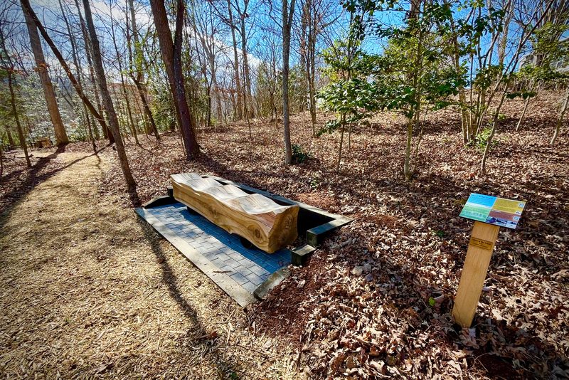 Live-Edge Bench at the NC Arboretum Plants of Promise Garden