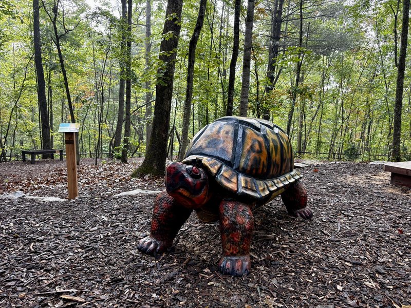 Shelly the turtle sculpture at the North Carolina Arboretum