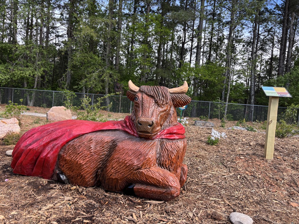 Chainsaw-carved bull sculpture at the North Buncombe Elementary Legacy Garden memorial